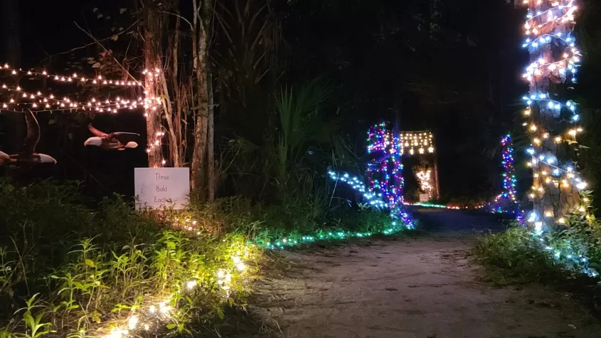 Twelve Days of Calusa section of the Holiday Lights Trail at Calusa Nature Center