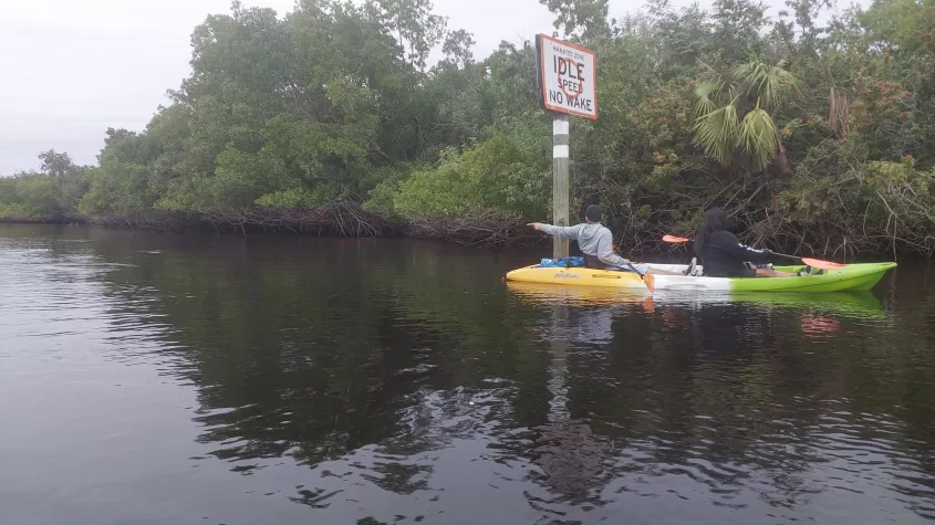 Manatee Tour