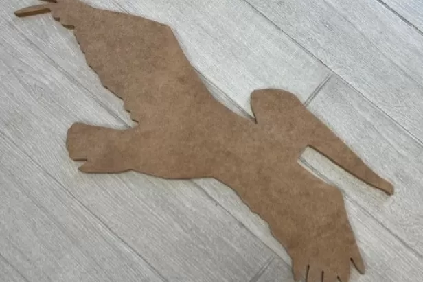 pelican cut out
