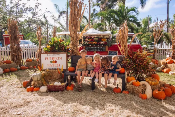 Fall Festival Pumpkin Patch 
