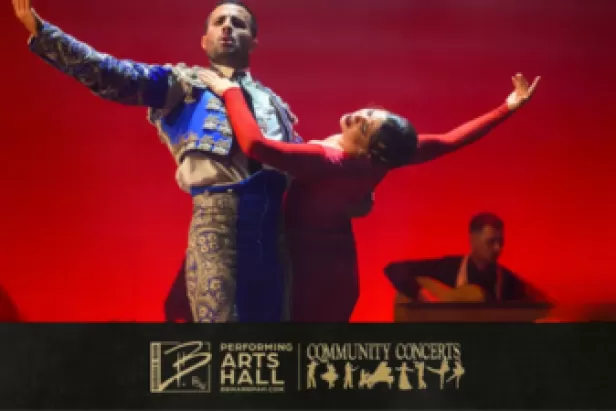 Barcelona Flamenco Ballet "Carmen"
