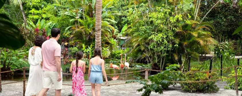 Family standing with backs to the camera looking a a flamingo in the shallow water from a sandy beach at Wonder Gardens