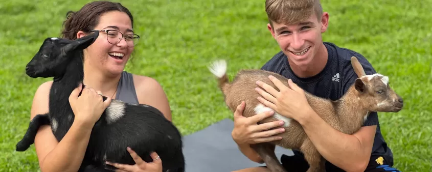 goat yoga