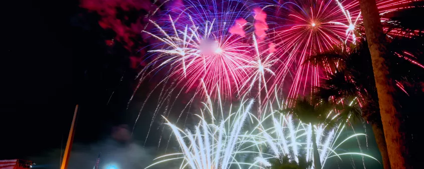 Fireworks